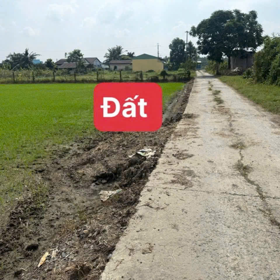 Đất sáng đẹp THUỘC XÃ NHỰT TẢO - TÂY NINH MỚI DT 150m2 (Lạc Tấn - Tân Trụ - Long An cũ)