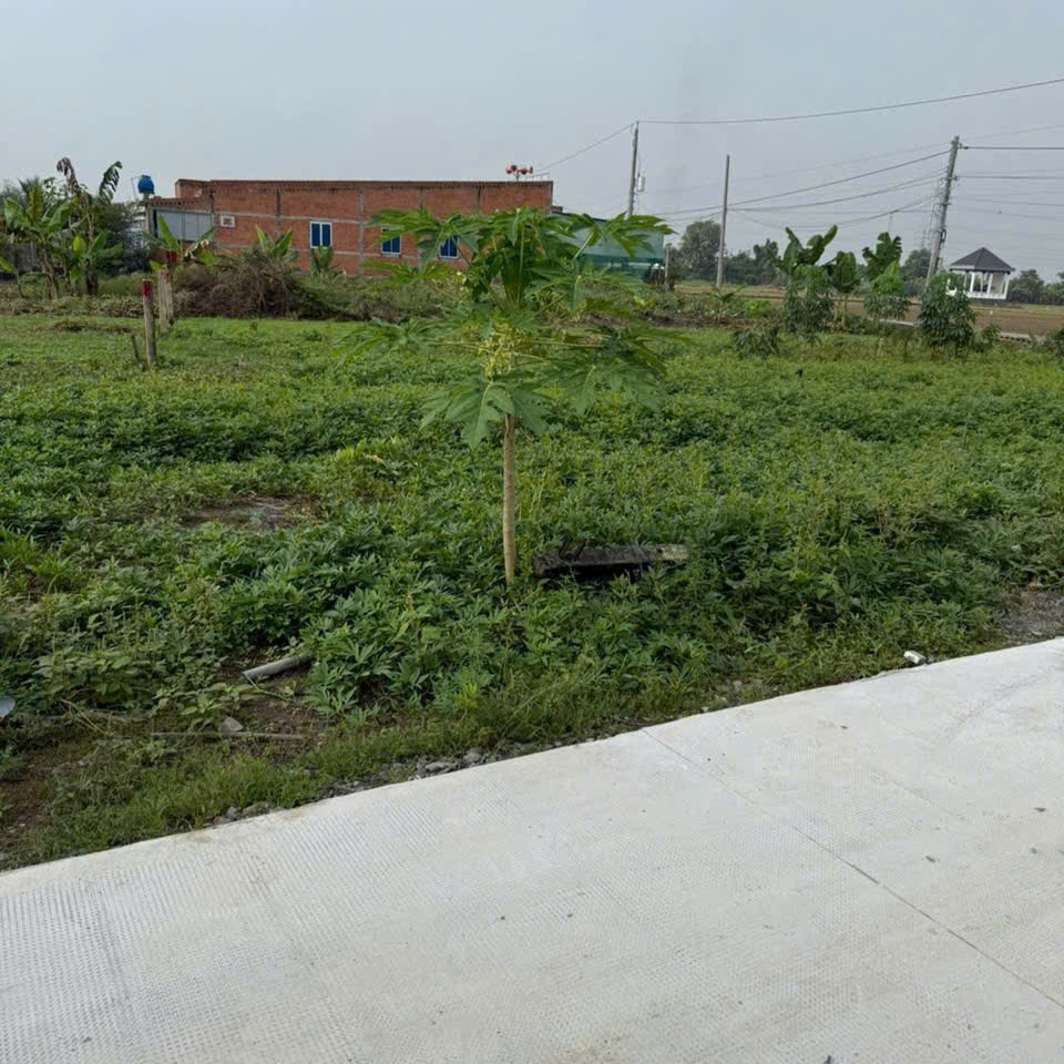 Cần bán 2 lô thổ cư xã Bình Lãng cũ, Xã Tân Trụ mới, Tỉnh Tây Ninh