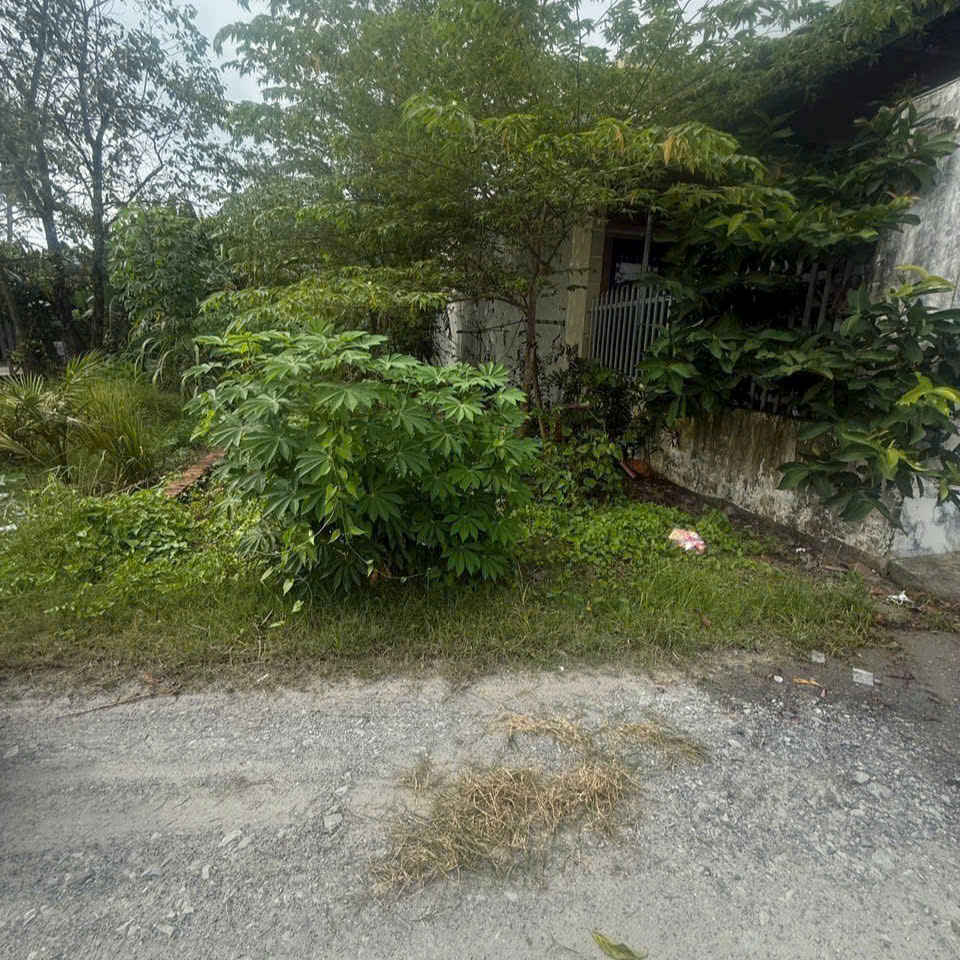 Bán đất thổ cư Thuộc Nhơn hòa 1 Đức hòa thượng Đức Hoà Long an cũ ( nay là xã Mỹ Hạnh. Tây Ninh mới) DT 172,5 m2