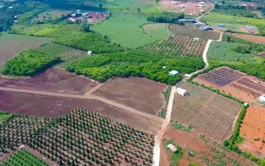 Đề xuất mới về cấp giấy chứng nhận quyền sử dụng đất, cho thuê, chuyển mục đích sử dụng đất,...