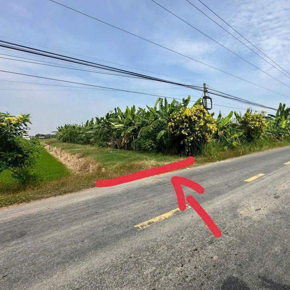 Bán Thổ cư Mặt Tiền Nhựa DT 833B. Thuộc Quê Mỹ Thạnh,Tân Trụ , Long An cũ. DT 365 m2