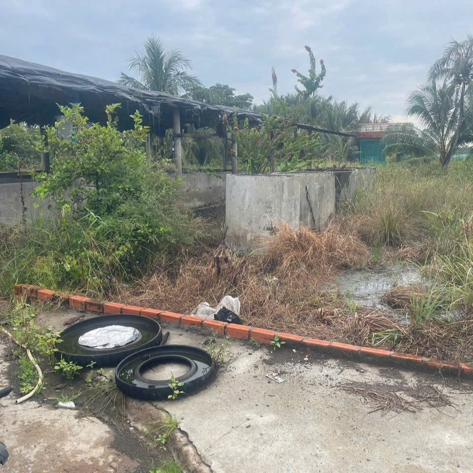 1600m² đất thổ cư 100% xã Nhut Ninh, huyện Tân Trụ, LA cũ ( Tây Ninh mới)