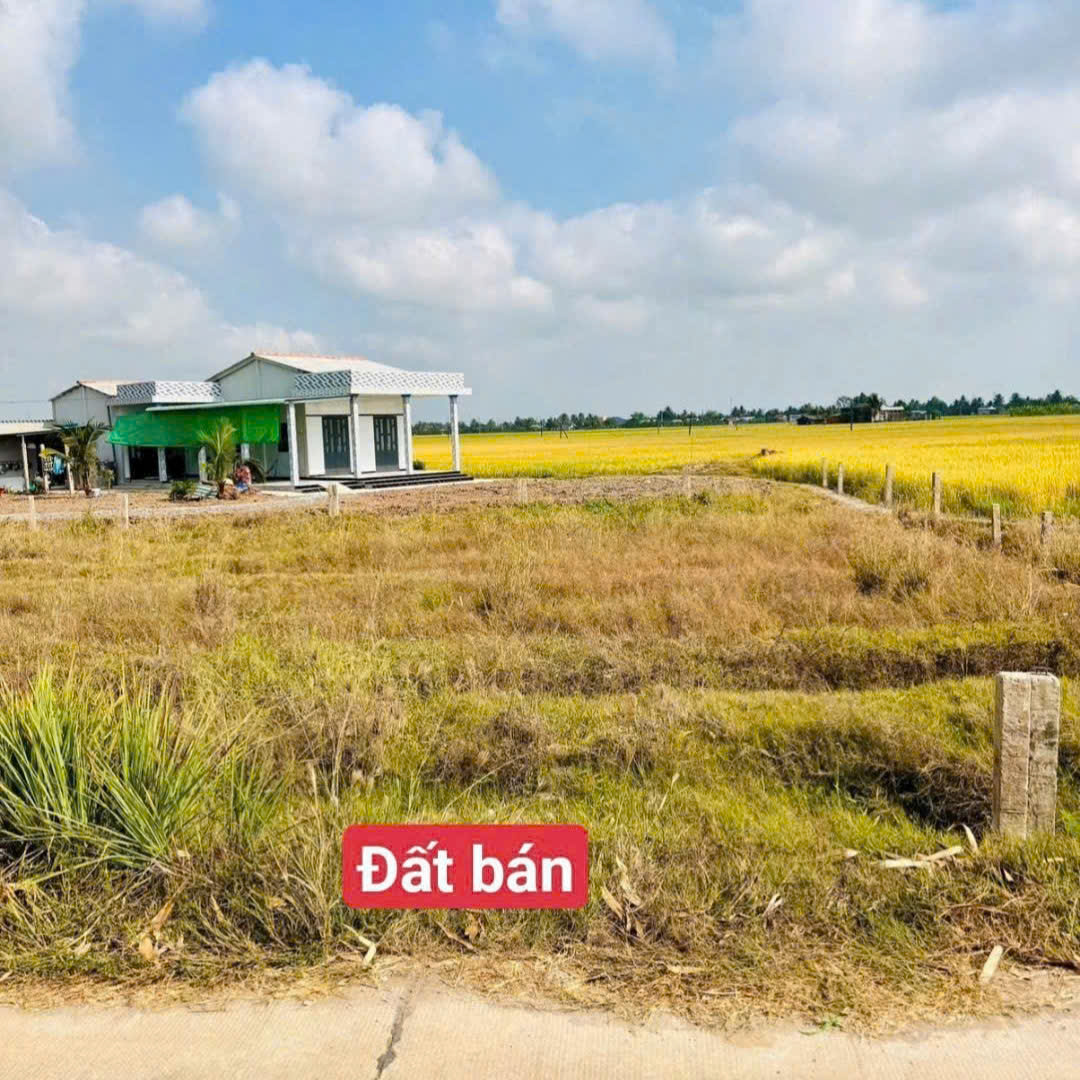 BÁN ĐẤT THỔ CƯ  Lạc Tấn_ Tân trụ_Long An ( xã nhựt tảo mới) Giá 350 triệu/lô127