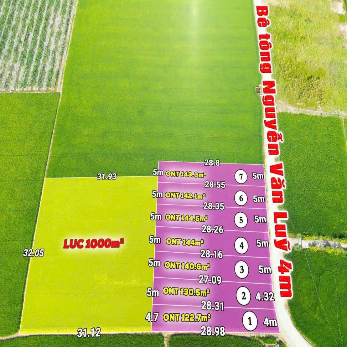 F0 thổ cư đường Nguyễn Văn Luỹ xã Bình Trinh Đông huyện Tân Trụ tỉnh Long An (xã Tân Trụ tỉnh Tây Ninh)