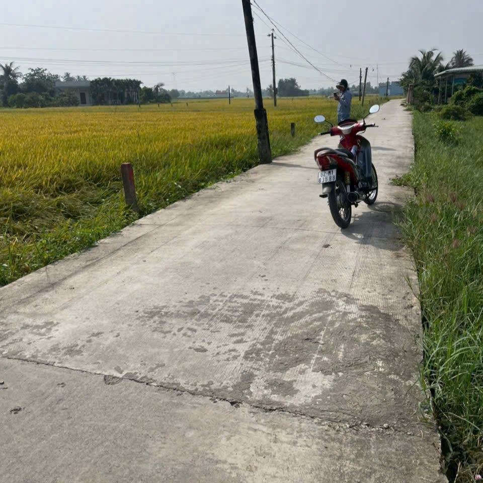 Đất thổ cư đường Trương Văn Chuẩn - xã Bình Tịnh Tân Trụ Long An DT 147,5m2