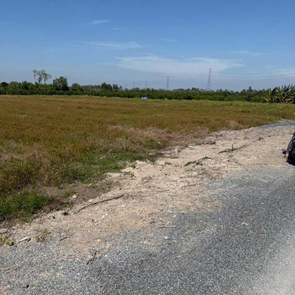 Bán mặt tiền Kênh 7 đường 7m. Đất tại Tân Thành Thủ Thừa. Long an   Dt 1288,9m vườn Giá : 599triệu/1000m